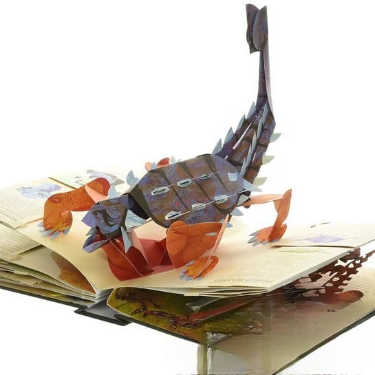 ⏰Oferta especial semanal: 60 % de descuent🦖Enciclopedia 3D Prehistórica Dinosaurios📙HARDCOVE